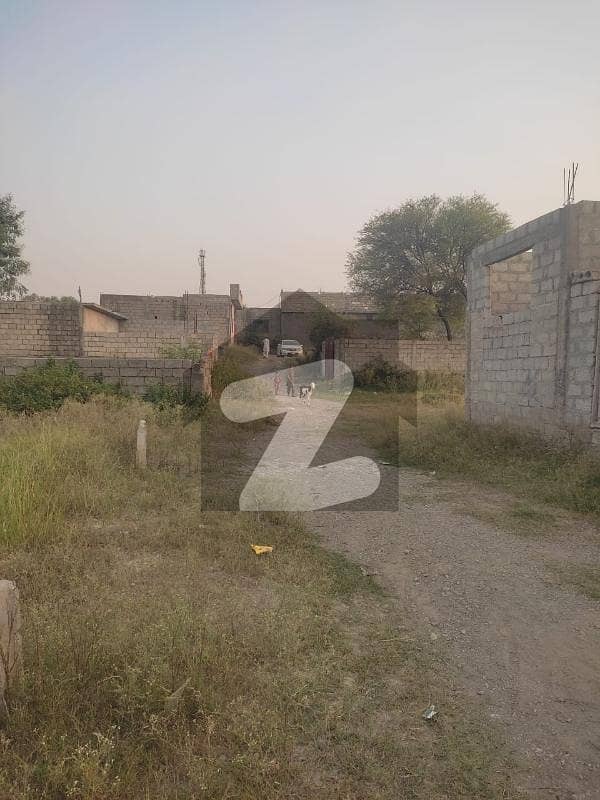 5 5