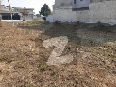 آئی