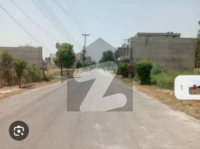 پی
