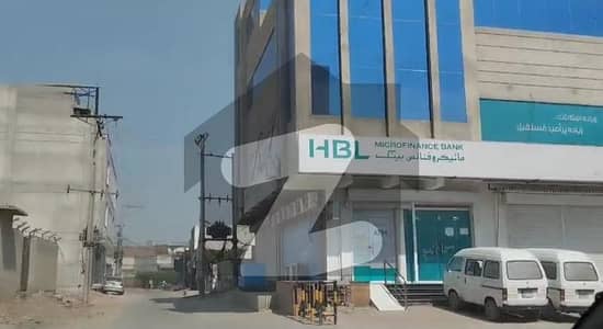 کلب