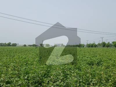 ابوظہبی