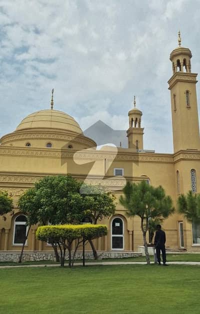 تاج