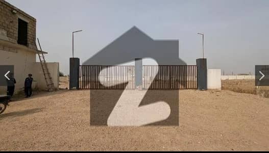 فریدی