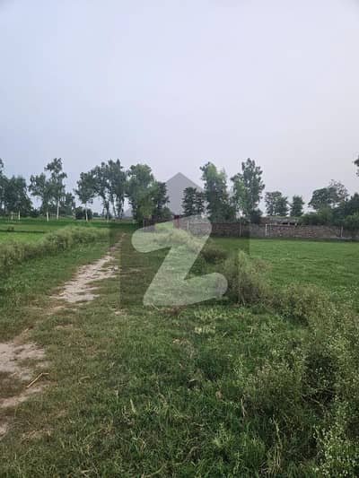 بیدیاں