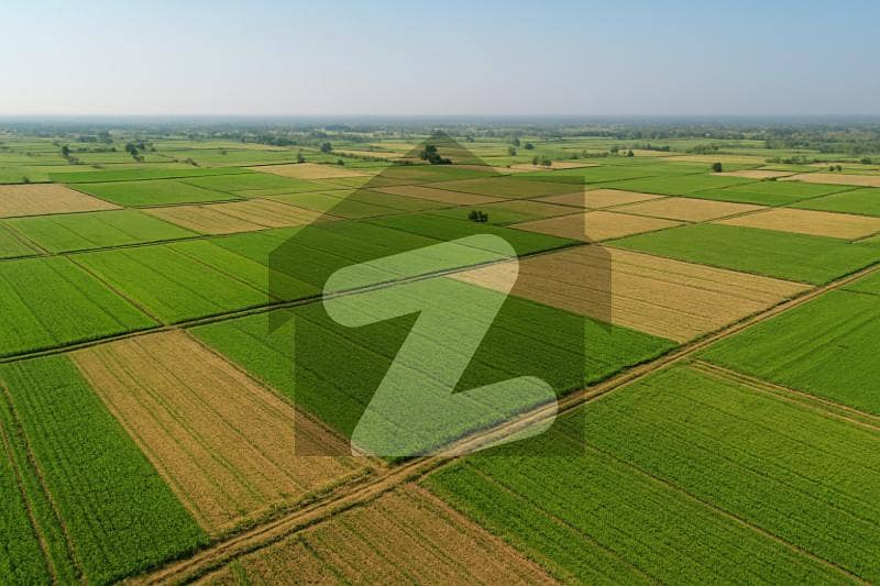 1250 Kanal Agriculture Land in Chakowa Dina Near gt Road