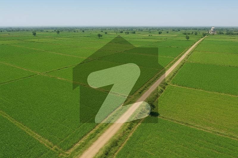 800 Kanal Agriculture Land For Sale in barogawah Dina