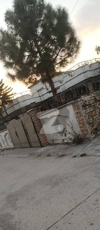 بنی