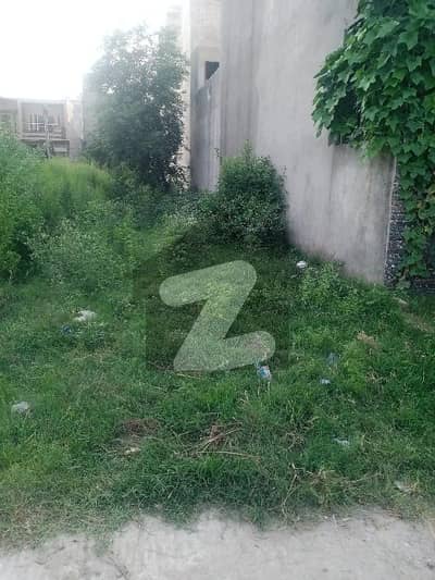 صنوبر