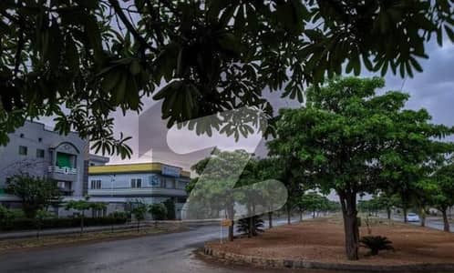BRAND NEW GUEST HOUSE AVAILABLE FOR RENT G15 MAIN DOUBLE ROAD BRAND NEW GUEST HOUSE AVAILABLE FOR RENT G15 MAIN DOUBLE ROAD