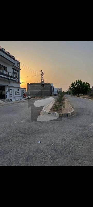 کاٹھیاواڑ