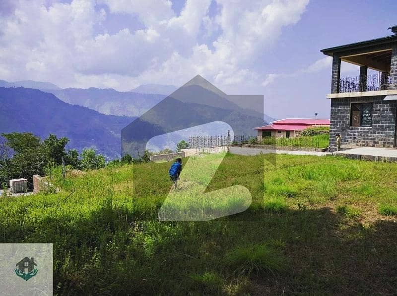 House For Sale In Muree House For Sale In Muree