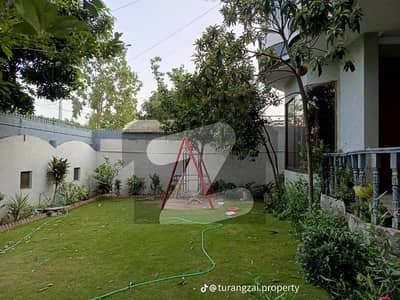 حیات