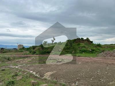 گلبرگ