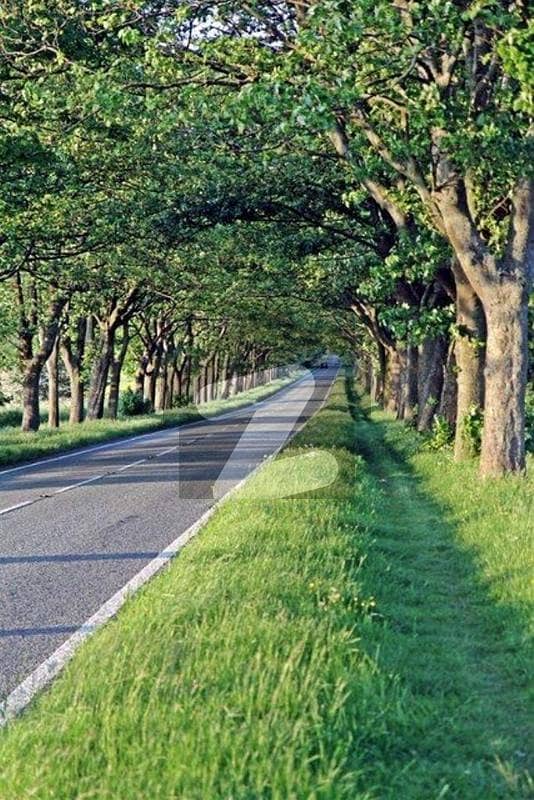 Lowest Price (50x90) Plot In F-15 JKCHs Lowest Price (50x90) Plot In F-15 JKCHs