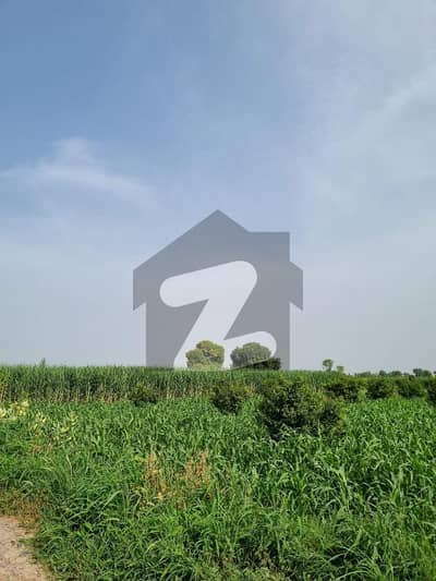 ملتان