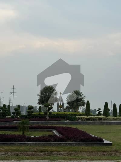 ڈی