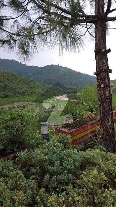کنٹری