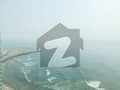 24 