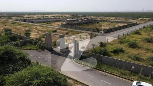 1000 Sq. Yds Ready Farmhouse Plot for Sale | Dua Greens Phase 1 Safari Block | Possession on 50% Payment