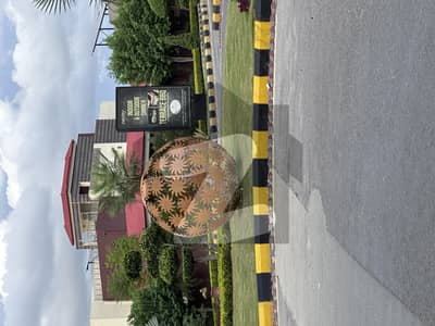 ڈی