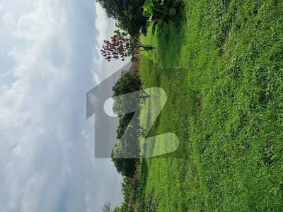 Farm House With Lush Green Lawn Or Froot Trees for gaming zone