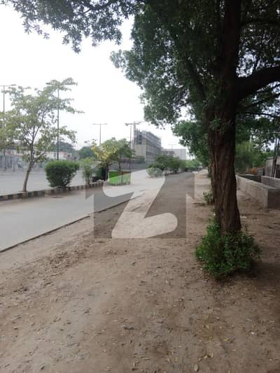 فیروزپور