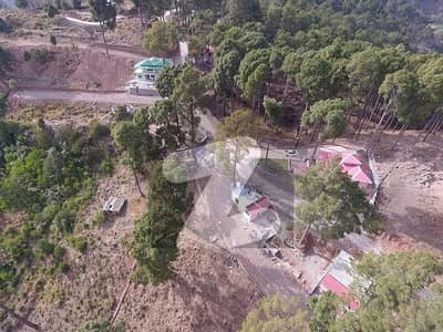 انگوری روڈ مری میں 5 مرلہ رہائشی پلاٹ 15.0 لاکھ میں برائے فروخت۔