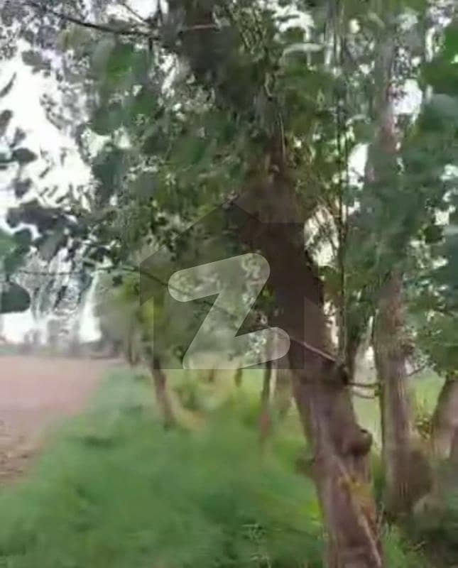4 KANAL FARMHOUSE/RESIDENTIAL PLOT IN ORCHARD GREENZ