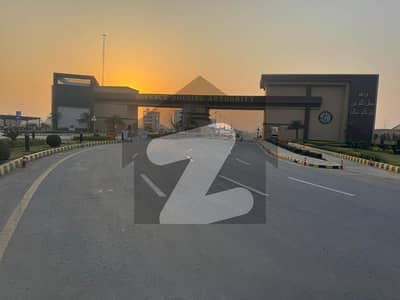 ڈی