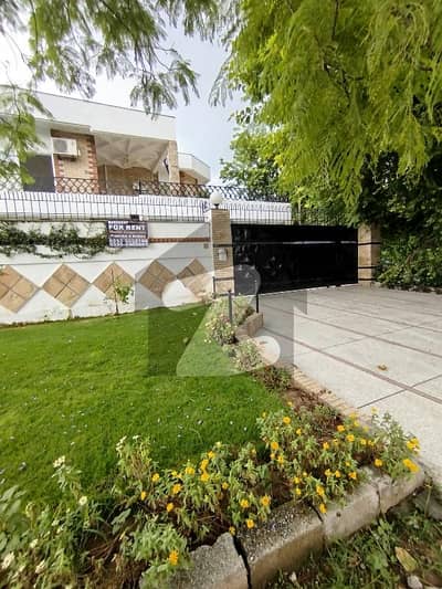 1 Bedroom 500 square feet Basement Available for Rent   F-8/1