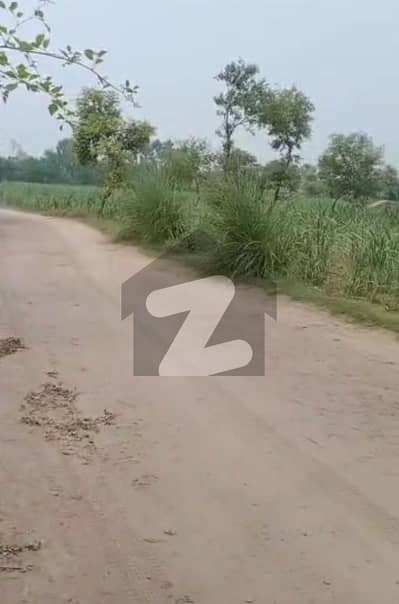 بیدیاں