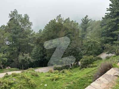 A Precious very centrally Located Commercial plot for sale in Lower Jhika Gali Scheme Murree. Almost 5 minutes drive from Mall Road.   Having direct access from Murree Expressway way,