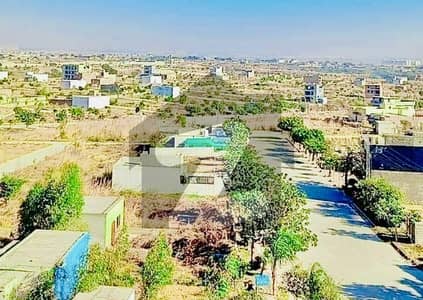 زمر