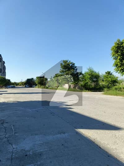 زمر