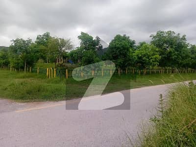 ڈی ۔ 12 اسلام آباد میں 14 مرلہ رہائشی پلاٹ 11.85 کروڑ میں برائے فروخت۔