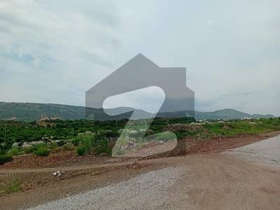 سی