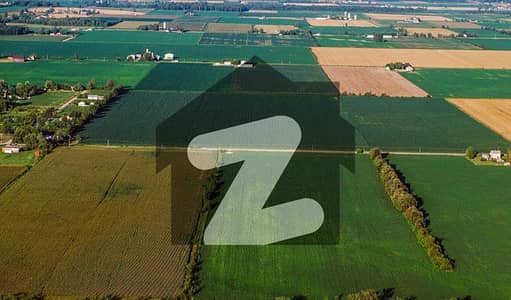 31 Kanal Prime Agricultural Land | Ideal for Farming & Investment