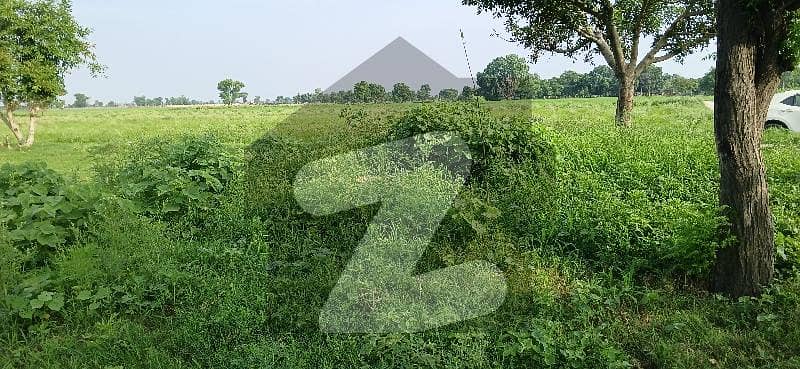 Prime Location Barki Road Land For Sale Mid Of Farmhouse 200ft Front 8 Kanal Best Option For Farmhouse, Direct Access 6km DHA Phase 7 Prime Location Barki Road Land For Sale Mid Of Farmhouse 200ft Front 8 Kanal Best Option For Farmhouse, Direct Access 6km DHA Phase 7