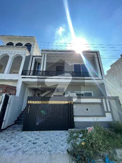 نیو