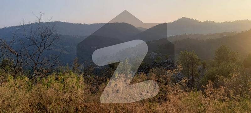 Beautiful Land Available near Pir Sohawa Road