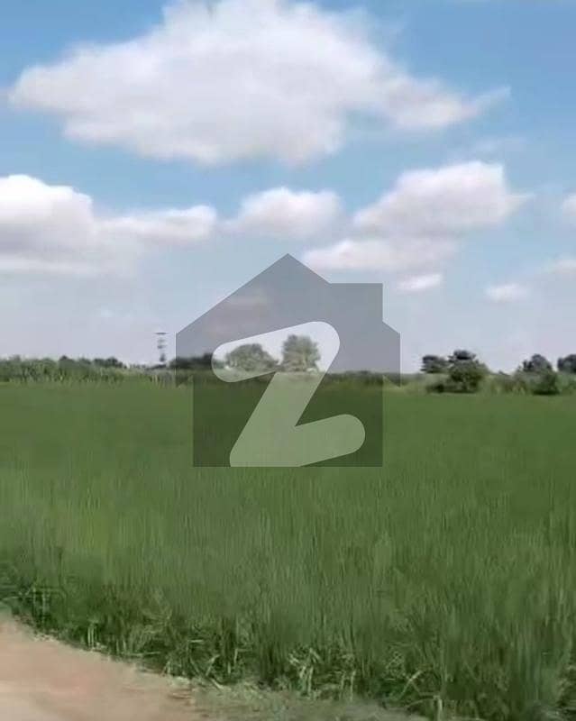 3 KANAL BEAUTIFULL FARMHOUSE LAND