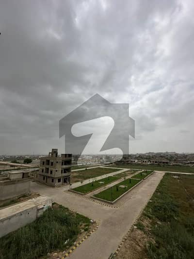 صدف