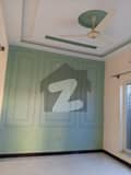 20 