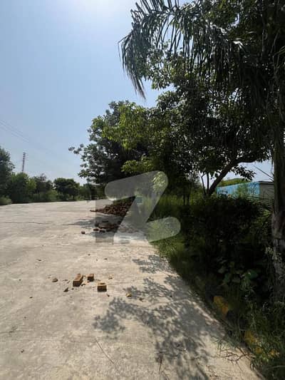 زمر