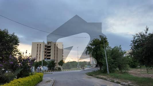 ڈی