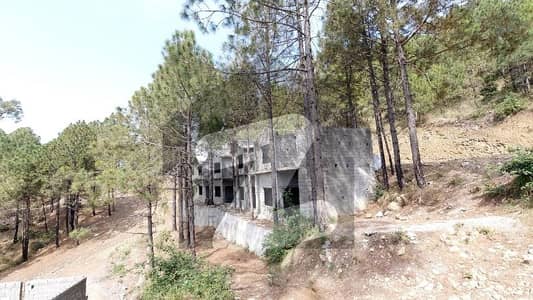 Plot For Sale Possession + Construction Only On 50% Down Payment Ready Your Huts Or Farmhouse On First Payment Remaining Amount On 2 Year Installment Plan
