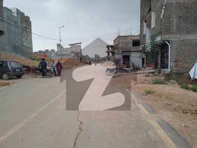 نارتھ