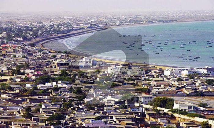 موضع شتانگی گوادر میں 80 کنال زرعی زمین 15.0 لاکھ میں برائے فروخت۔