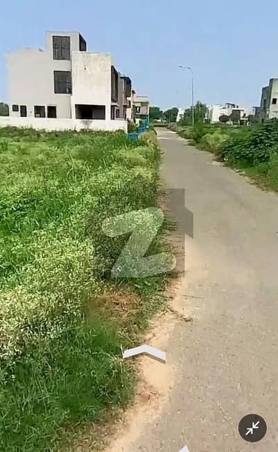 ڈی