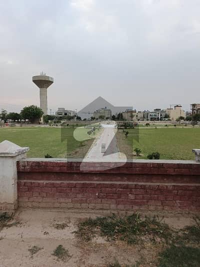 ٹی